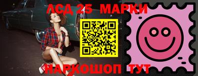индика Заволжье