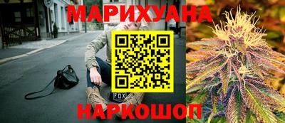 индика Заволжье